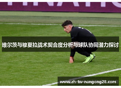 维尔茨与穆夏拉战术契合度分析与球队协同潜力探讨