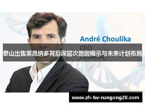泰山出售莱昂纳多背后深层次原因揭示与未来计划布局
