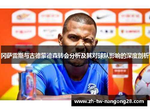 冈萨雷斯与古德蒙德森转会分析及其对球队影响的深度剖析