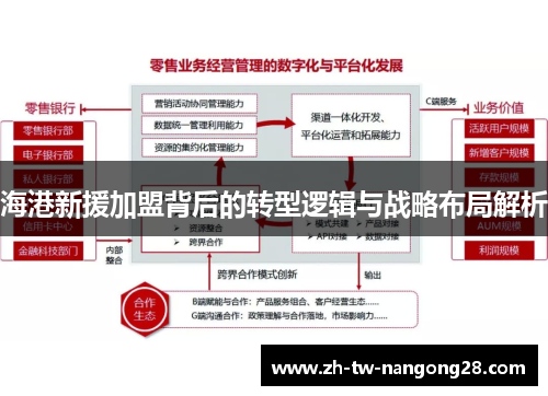 海港新援加盟背后的转型逻辑与战略布局解析