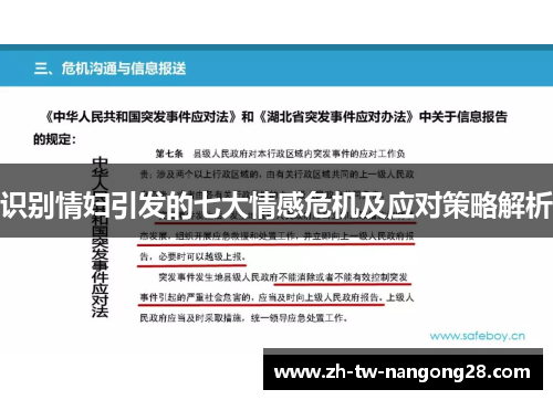 识别情妇引发的七大情感危机及应对策略解析