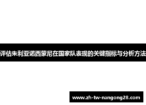 评估朱利亚诺西蒙尼在国家队表现的关键指标与分析方法