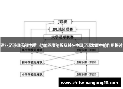 建业足球俱乐部性质与功能深度剖析及其在中国足球发展中的作用探讨